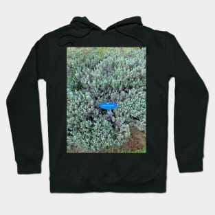 Freddy Lavender Hoodie